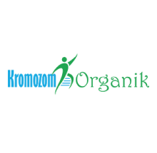 Kromozom Organik