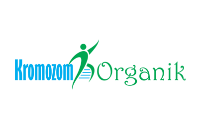 Kromozom Organik
